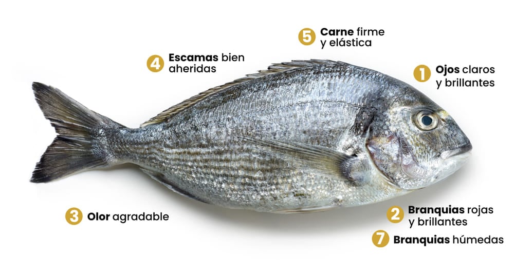 Técnicas para Comprar un buen Pescado